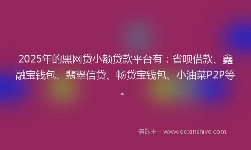 2025年的黑网贷小额贷款平台有：省呗借款、鑫融宝钱包、翡翠信贷、畅贷宝钱包、小油菜P2P等。