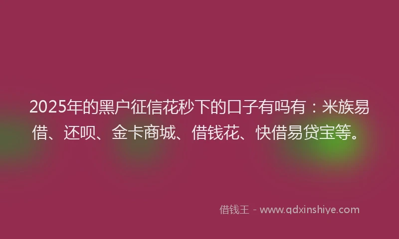 2025年的黑户征信花秒下的口子有吗有：米族易借、还呗、金卡商城、借钱花、快借易贷宝等。