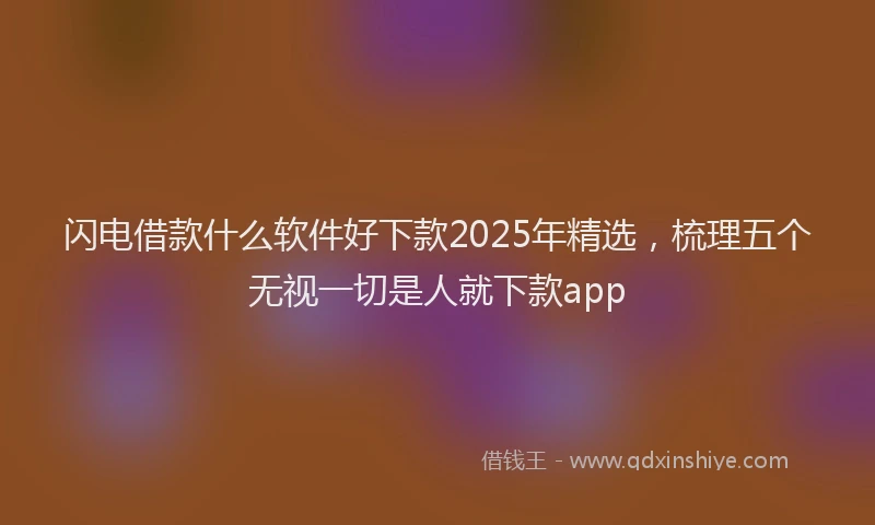 闪电借款什么软件好下款2025年精选，梳理五个无视一切是人就下款app