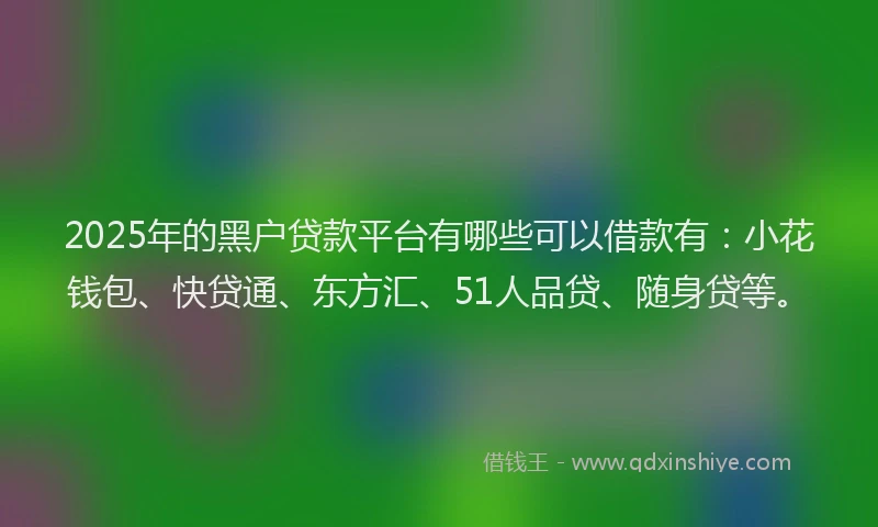 2025年的黑户贷款平台有哪些可以借款有：小花钱包、快贷通、东方汇、51人品贷、随身贷等。