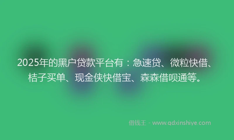 2025年的黑户贷款平台有：急速贷、微粒快借、桔子买单、现金侠快借宝、森森借呗通等。