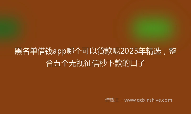 黑名单借钱app哪个可以贷款呢2025年精选，整合五个无视征信秒下款的口子