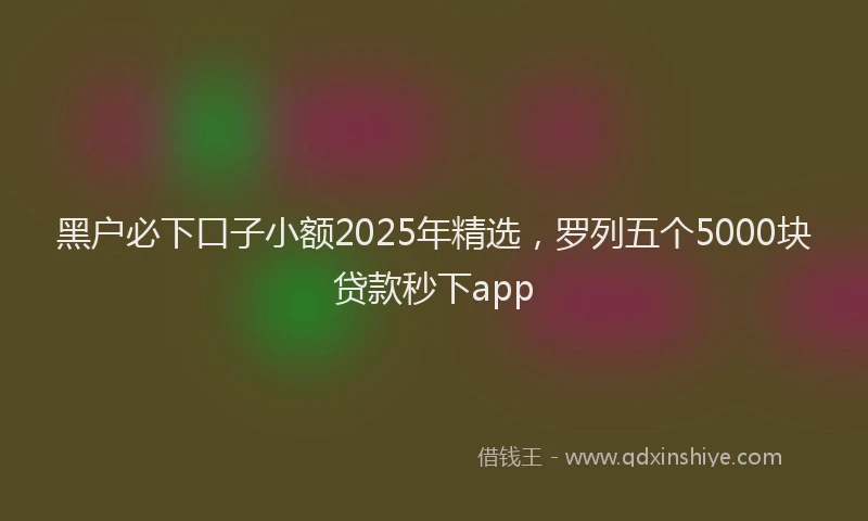 黑户必下口子小额2025年精选，罗列五个5000块贷款秒下app
