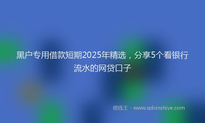 黑户专用借款短期2025年精选，分享5个看银行流水的网贷口子