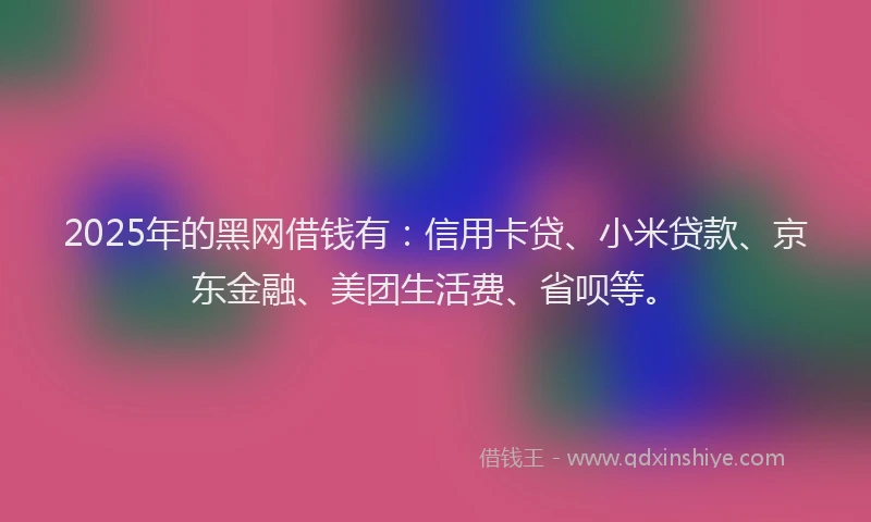 2025年的黑网借钱有：信用卡贷、小米贷款、京东金融、美团生活费、省呗等。