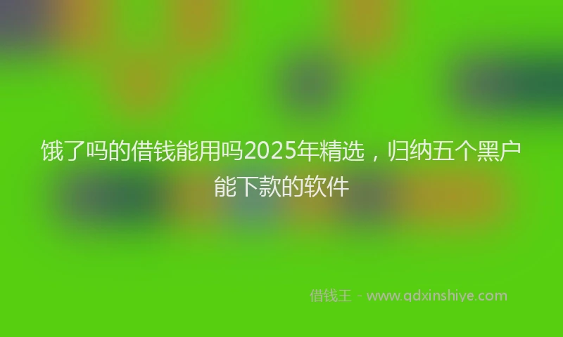 饿了吗的借钱能用吗2025年精选，归纳五个黑户能下款的软件