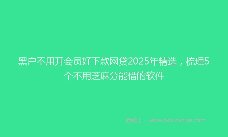 黑户不用开会员好下款网贷2025年精选，梳理5个不用芝麻分能借的软件