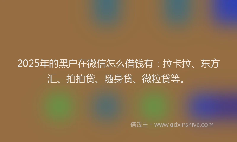 2025年的黑户在微信怎么借钱有：拉卡拉、东方汇、拍拍贷、随身贷、微粒贷等。
