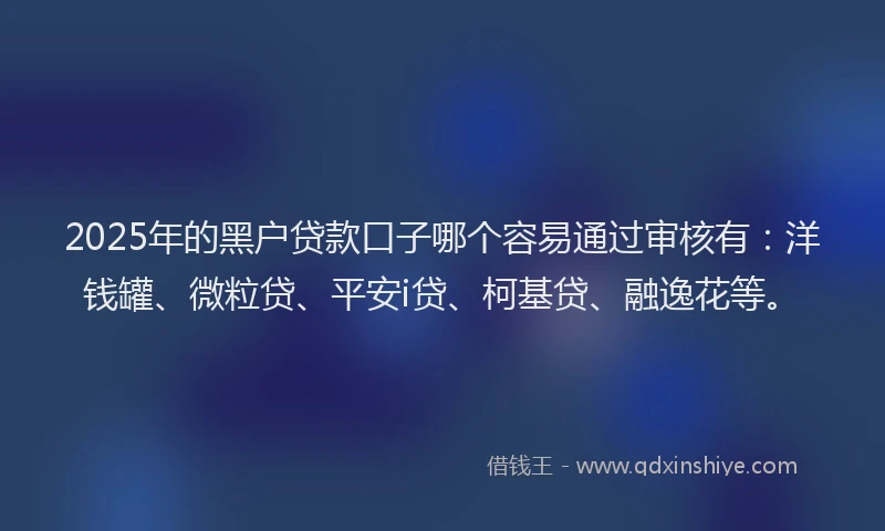 2025年的黑户贷款口子哪个容易通过审核有：洋钱罐、微粒贷、平安i贷、柯基贷、融逸花等。