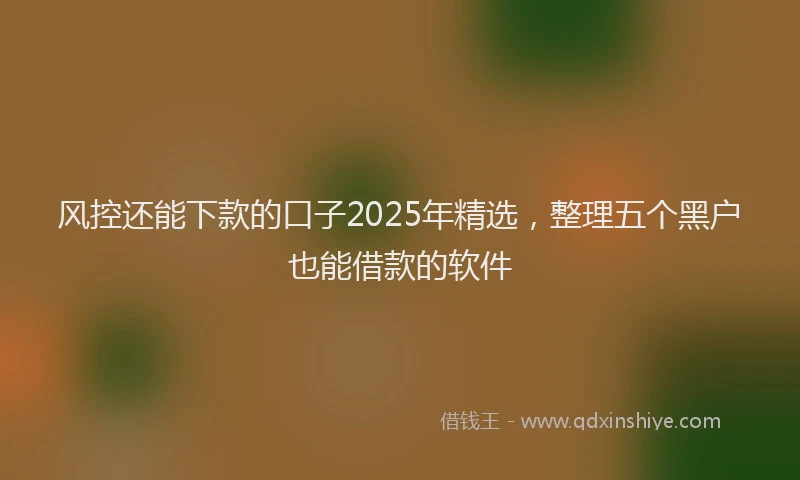 风控还能下款的口子2025年精选，整理五个黑户也能借款的软件
