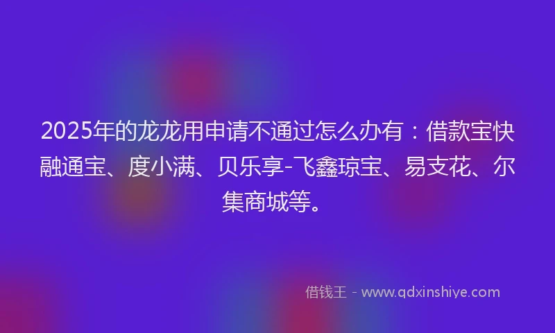 2025年的龙龙用申请不通过怎么办有：借款宝快融通宝、度小满、贝乐享-飞鑫琼宝、易支花、尔集商城等。