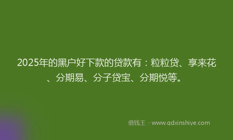 2025年的黑户好下款的贷款有：粒粒贷、享来花、分期易、分子贷宝、分期悦等。