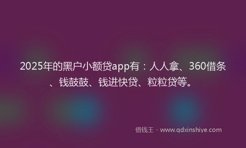 2025年的黑户小额贷app有：人人拿、360借条、钱鼓鼓、钱进快贷、粒粒贷等。