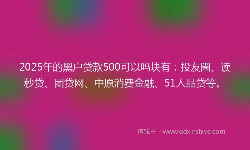 2025年的黑户贷款500可以吗块有：投友圈、读秒贷、团贷网、中原消费金融、51人品贷等。