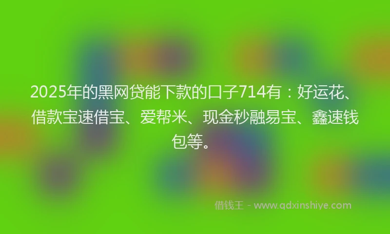 2025年的黑网贷能下款的口子714有：好运花、借款宝速借宝、爱帮米、现金秒融易宝、鑫速钱包等。