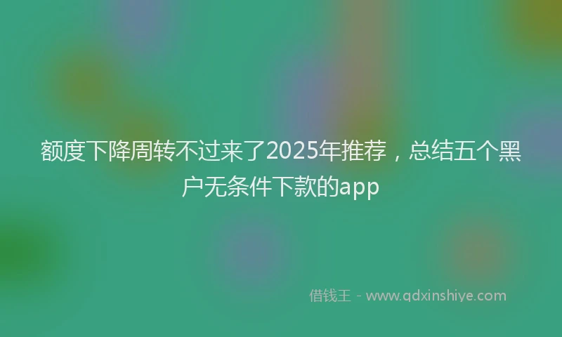 额度下降周转不过来了2025年推荐，总结五个黑户无条件下款的app