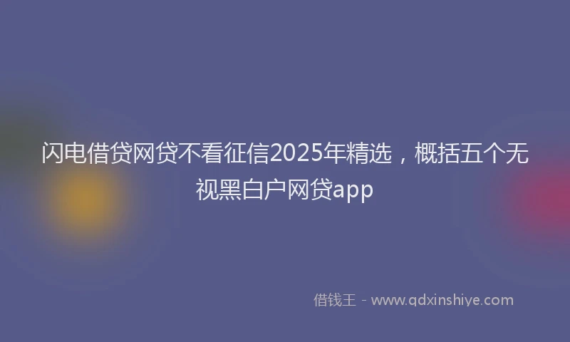 闪电借贷网贷不看征信2025年精选，概括五个无视黑白户网贷app