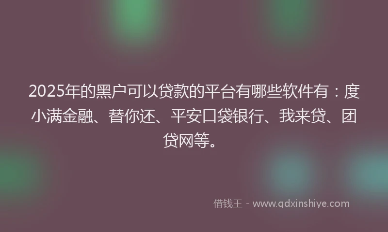 2025年的黑户可以贷款的平台有哪些软件有：度小满金融、替你还、平安口袋银行、我来贷、团贷网等。