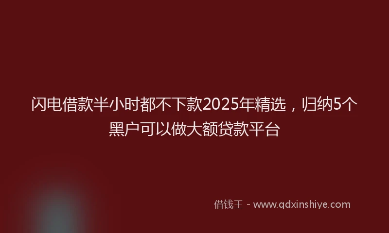 闪电借款半小时都不下款2025年精选，归纳5个黑户可以做大额贷款平台