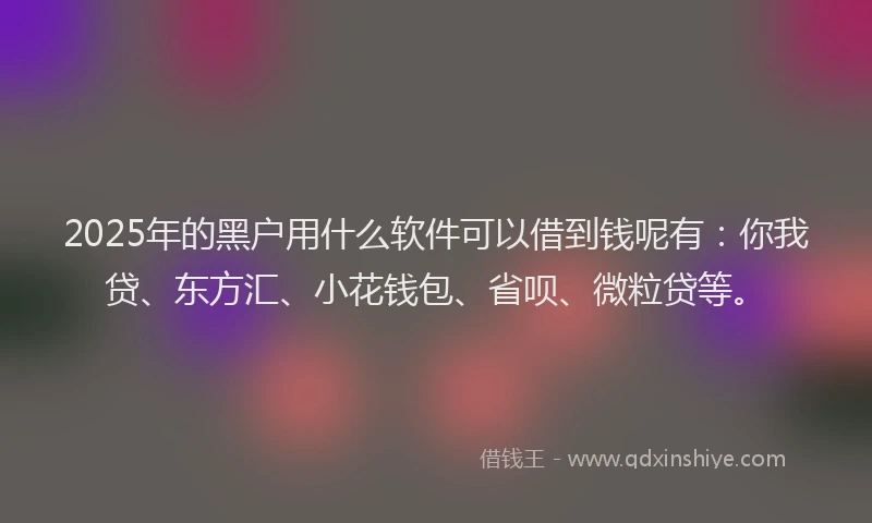 2025年的黑户用什么软件可以借到钱呢有：你我贷、东方汇、小花钱包、省呗、微粒贷等。