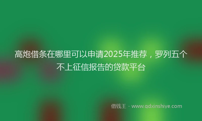高炮借条在哪里可以申请2025年推荐，罗列五个不上征信报告的贷款平台