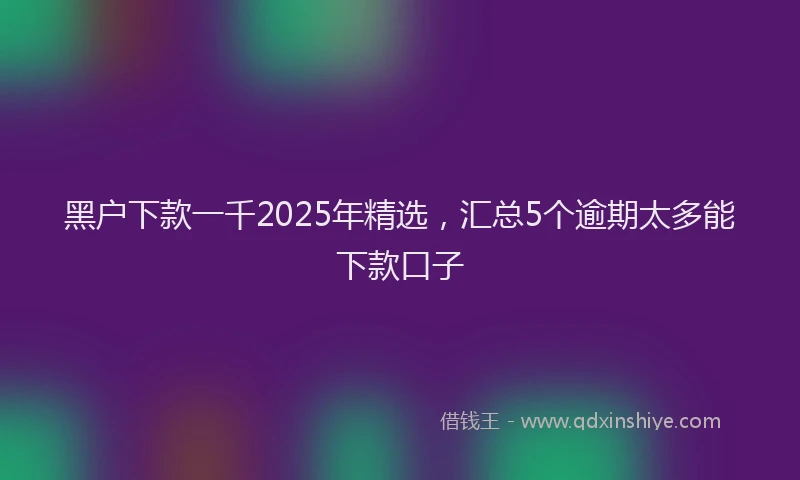 黑户下款一千2025年精选，汇总5个逾期太多能下款口子