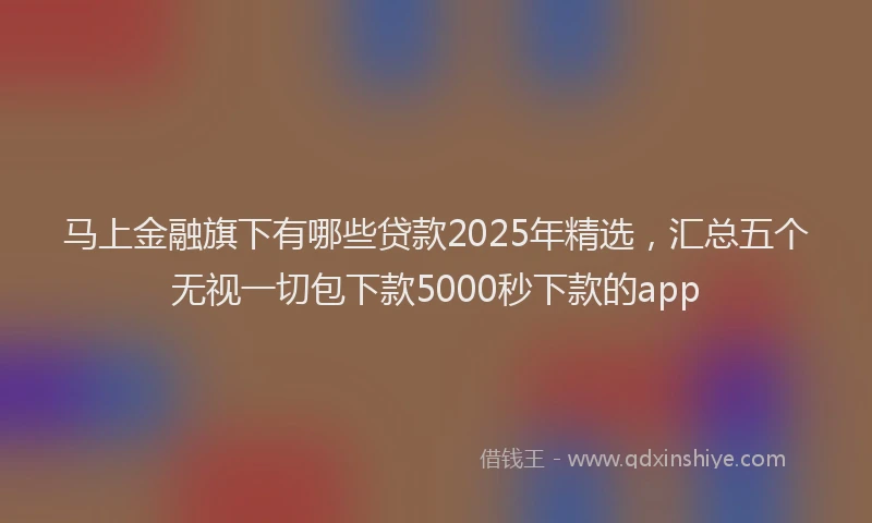 马上金融旗下有哪些贷款2025年精选，汇总五个无视一切包下款5000秒下款的app