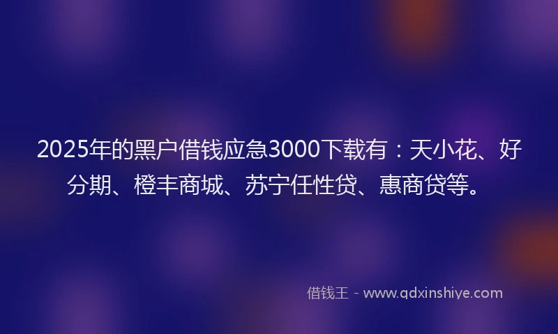 2025年的黑户借钱应急3000下载有：天小花、好分期、橙丰商城、苏宁任性贷、惠商贷等。