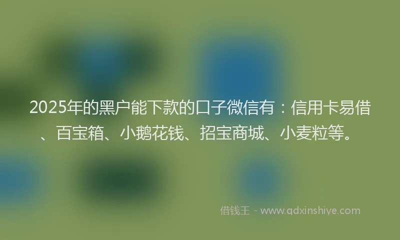 2025年的黑户能下款的口子微信有：信用卡易借、百宝箱、小鹅花钱、招宝商城、小麦粒等。