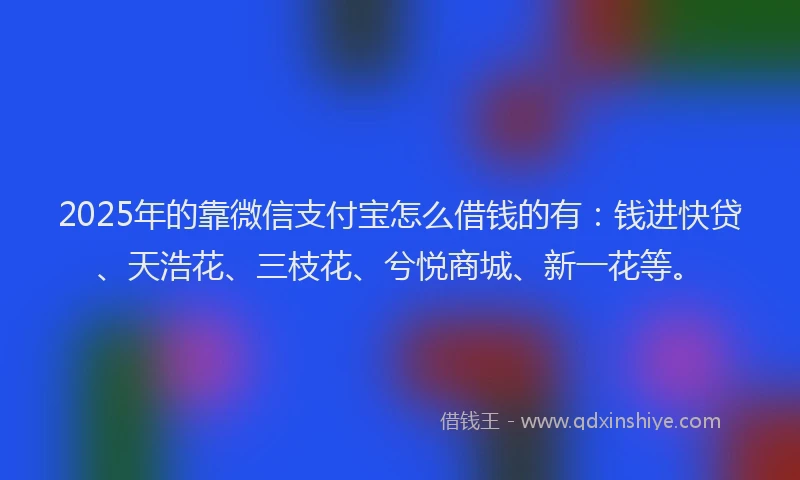 2025年的靠微信支付宝怎么借钱的有：钱进快贷、天浩花、三枝花、兮悦商城、新一花等。
