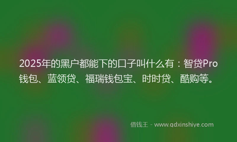 2025年的黑户都能下的口子叫什么有：智贷Pro钱包、蓝领贷、福瑞钱包宝、时时贷、酷购等。