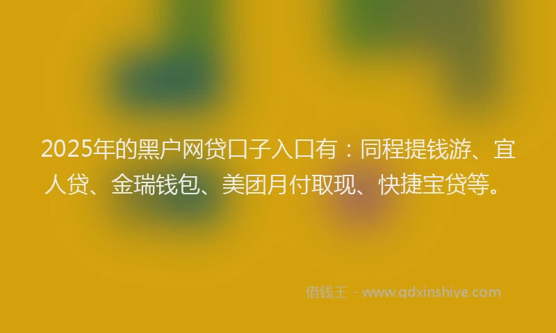 2025年的黑户网贷口子入口有：同程提钱游、宜人贷、金瑞钱包、美团月付取现、快捷宝贷等。