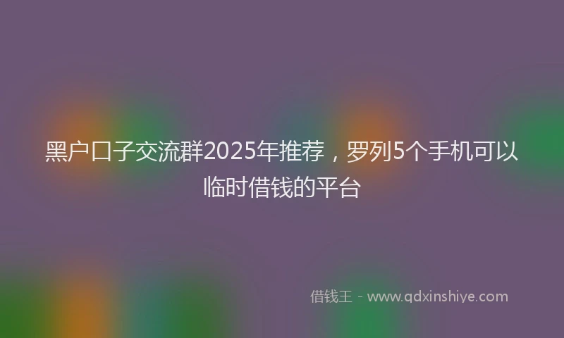 黑户口子交流群2025年推荐，罗列5个手机可以临时借钱的平台