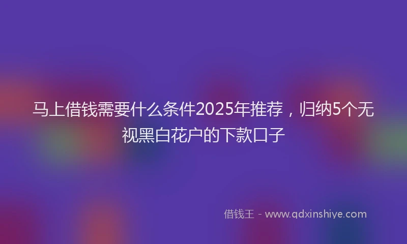 马上借钱需要什么条件2025年推荐，归纳5个无视黑白花户的下款口子