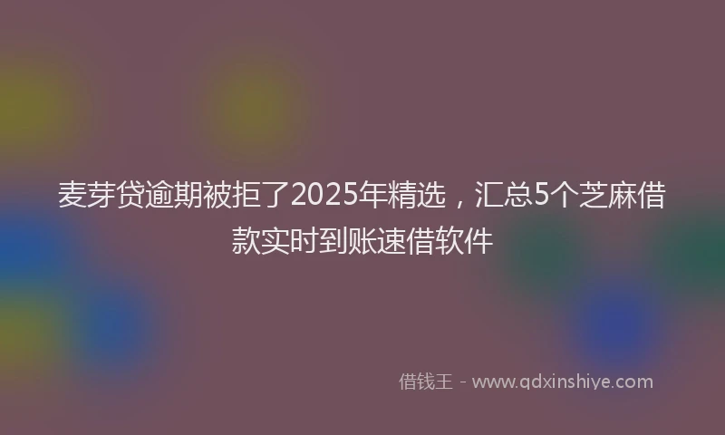 麦芽贷逾期被拒了2025年精选，汇总5个芝麻借款实时到账速借软件