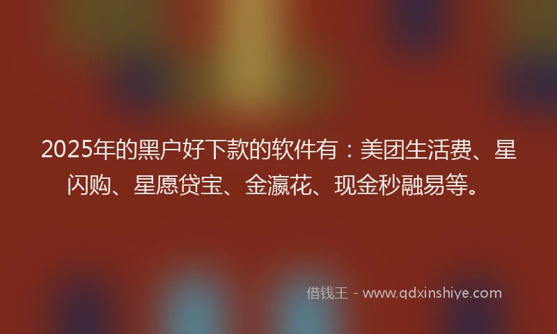 2025年的黑户好下款的软件有：美团生活费、星闪购、星愿贷宝、金瀛花、现金秒融易等。