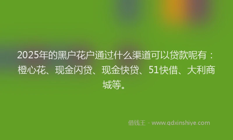 2025年的黑户花户通过什么渠道可以贷款呢有：橙心花、现金闪贷、现金快贷、51快借、大利商城等。