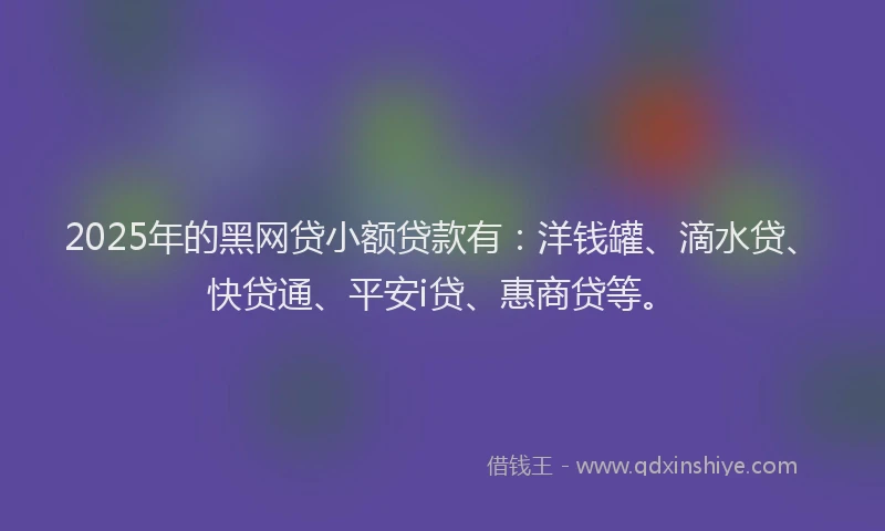 2025年的黑网贷小额贷款有：洋钱罐、滴水贷、快贷通、平安i贷、惠商贷等。