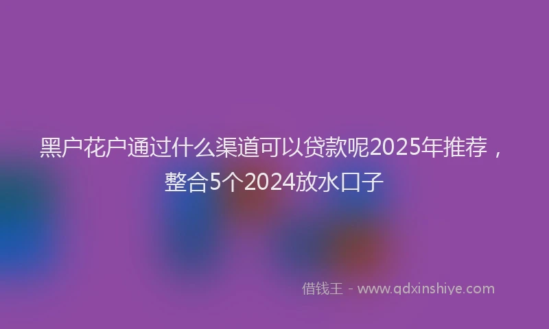 黑户花户通过什么渠道可以贷款呢2025年推荐，整合5个2024放水口子