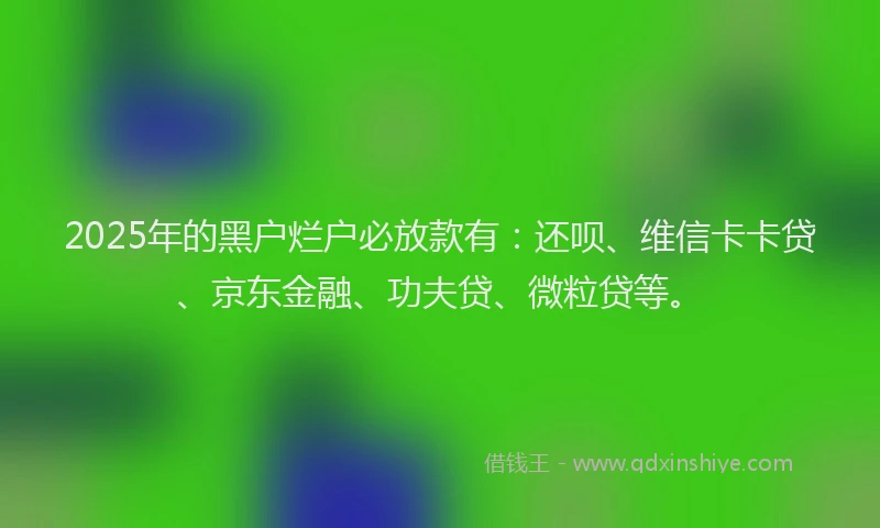 2025年的黑户烂户必放款有：还呗、维信卡卡贷、京东金融、功夫贷、微粒贷等。