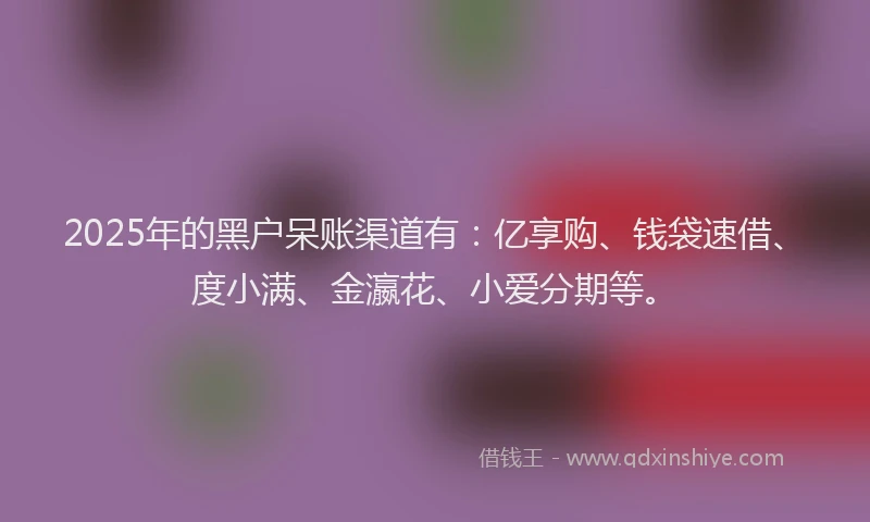 2025年的黑户呆账渠道有：亿享购、钱袋速借、度小满、金瀛花、小爱分期等。