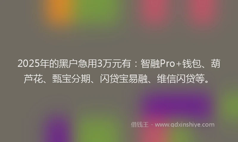 2025年的黑户急用3万元有：智融Pro+钱包、葫芦花、甄宝分期、闪贷宝易融、维信闪贷等。