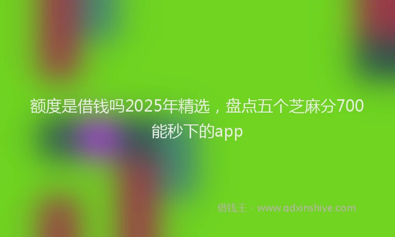 额度是借钱吗2025年精选，盘点五个芝麻分700能秒下的app