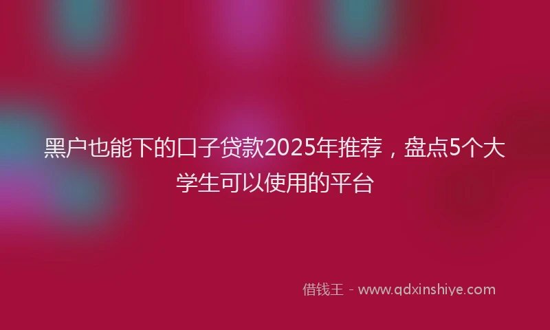 黑户也能下的口子贷款2025年推荐，盘点5个大学生可以使用的平台