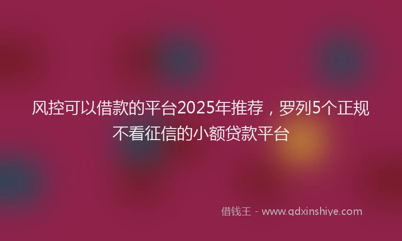 风控可以借款的平台2025年推荐，罗列5个正规不看征信的小额贷款平台