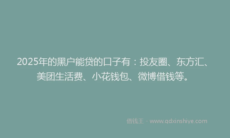 2025年的黑户能贷的口子有：投友圈、东方汇、美团生活费、小花钱包、微博借钱等。