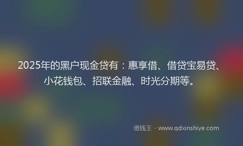 2025年的黑户现金贷有:惠享借、借贷宝易贷、小花钱包、招联金融、时光分期等。