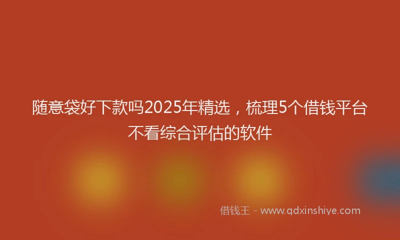随意袋好下款吗2025年精选，梳理5个借钱平台不看综合评估的软件
