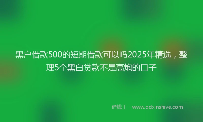 黑户借款500的短期借款可以吗2025年精选，整理5个黑白贷款不是高炮的口子