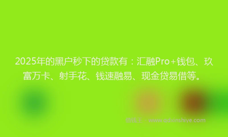 2025年的黑户秒下的贷款有：汇融Pro+钱包、玖富万卡、射手花、钱速融易、现金贷易借等。